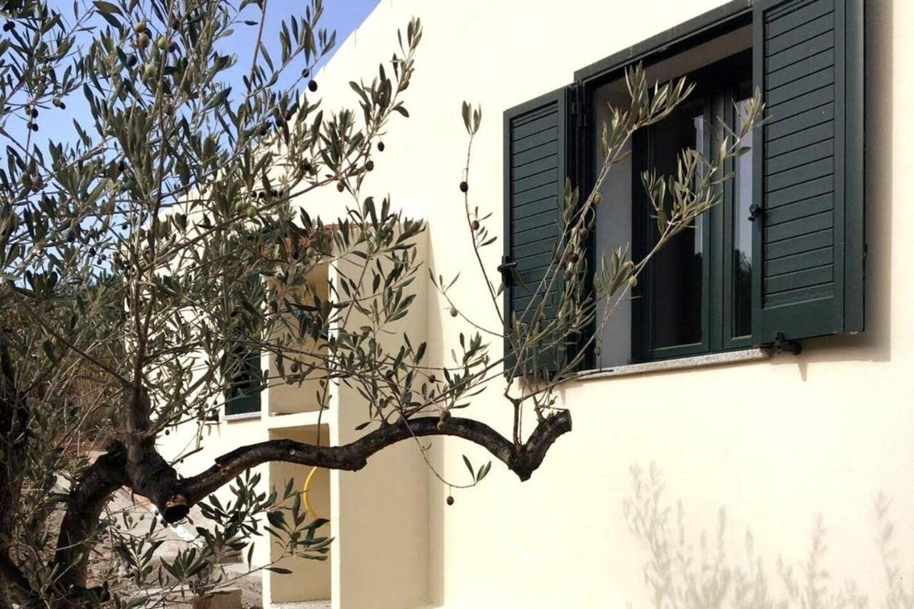 Villa Ulivella Schifoni Bagian luar foto