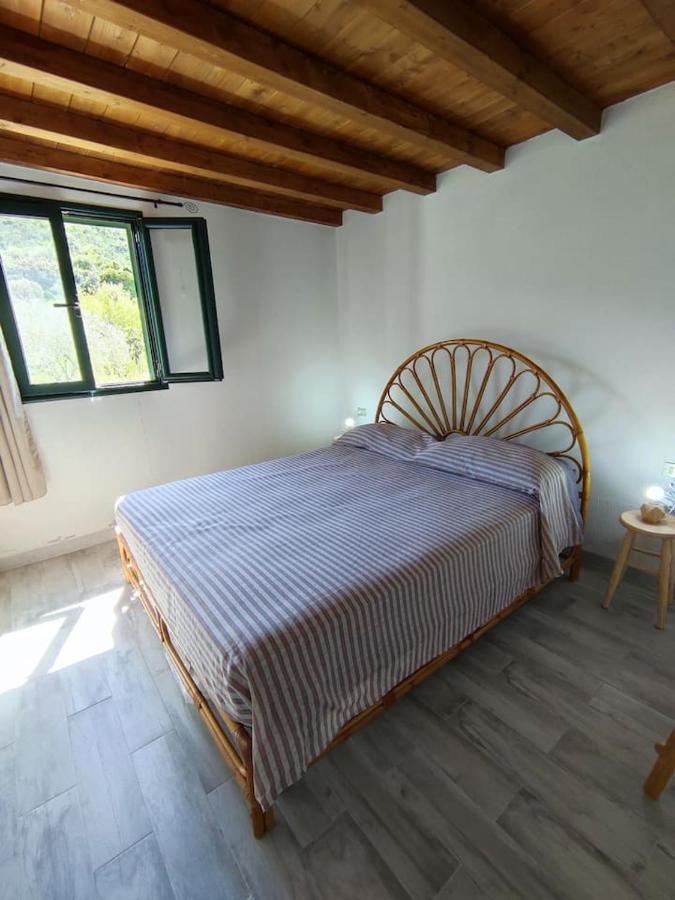 Villa Ulivella Schifoni Bagian luar foto