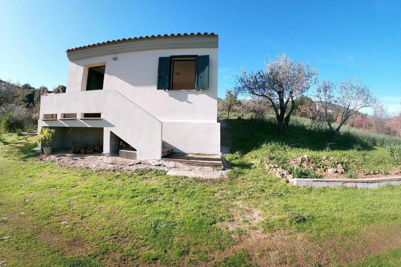 Villa Ulivella Schifoni Bagian luar foto