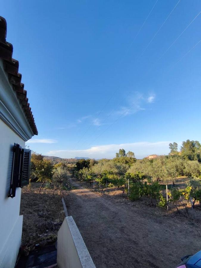 Villa Ulivella Schifoni Bagian luar foto